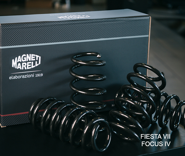 Lowering Springs