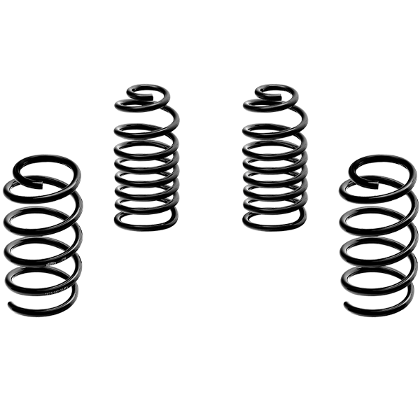 Lowering Springs